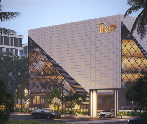 Developer render
